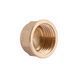 Заглушка Thermo Alliance Standart 1/2" ВР SD40215 SD00047797 фото 3