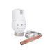 Термоголовка Thermo Alliance Standart М30х1,5 (30-70℃) з виносним датчиком TAS34170 SD00053538 фото 2