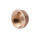 Заглушка Thermo Alliance Standart 1" ВР SD40225 SD00047799 фото 1