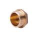 Заглушка Thermo Alliance Standart 1" ЗР SD40325 SD00047804 фото 1