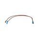 Комплект проводки Thermo Alliance SFN(D) series (36400221) SD00051027 фото 1