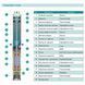 Насос свердловинний SHIMGE 3SP(m) 2.5/15-0.55 кВт, Н 62(47)м, Q 60(40)л/хв, &Oslash;75 мм, (кабель 40 м) 1037629 фото 3