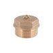 Заглушка Thermo Alliance Standart 3/4" ЗР SD40320 SD00047803 фото 2
