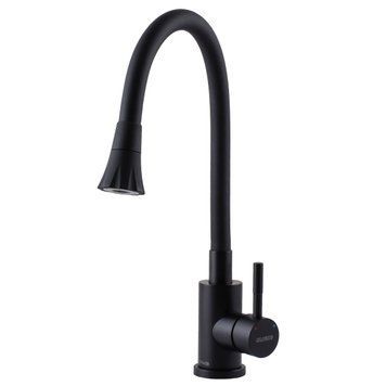 Змішувач для кухні Globus Lux ALPEN SBT1-203SA-BB-B01 000025988 фото