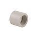 Муфта PPR Thermo Alliance 40 SD00029296 фото 1