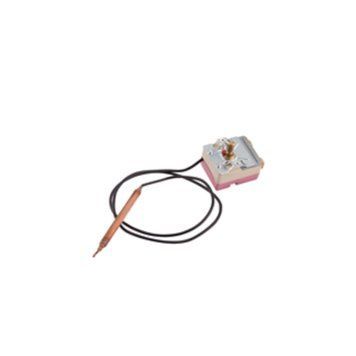 Термостат капілярний Thermo Alliance, 75&plusmn;5 &deg;С (36300090) SD00032672 фото