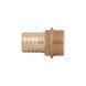 Штуцер Thermo Alliance Standart 8х1/2" ЗР SD427158 SD00047939 фото 4