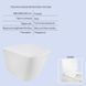 Готове рішення Qtap для ванної кімнати: підвісний унітаз Tern Rimless 490x340x350 + комплект інсталяції Nest 4 в 1 (кругла клавіша Chrome) SD00043022 фото 1