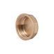 Заглушка Thermo Alliance Standart 1&nbsp;1/4" ВР SD40232 SD00047800 фото 2