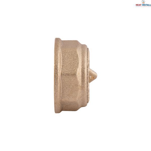 Заглушка Thermo Alliance Standart 3/4" ВР SD40220 SD00047798 фото
